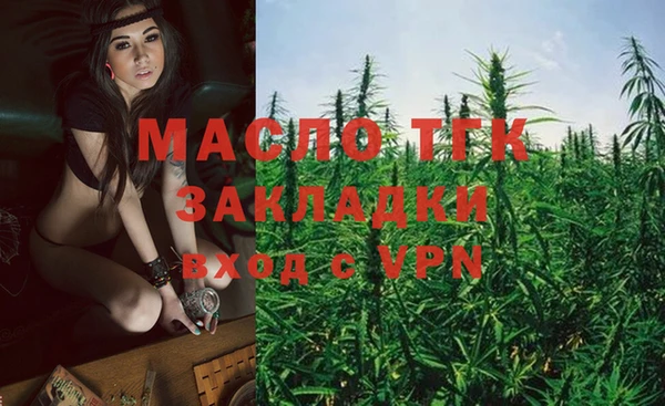 крисы Елабуга