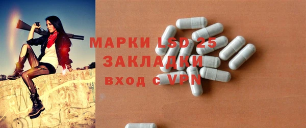 крисы Елабуга