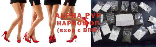 крисы Елабуга