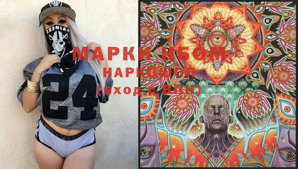 крисы Елабуга
