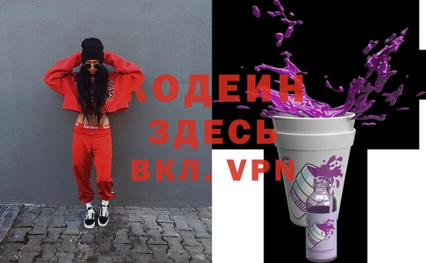 крисы Елабуга