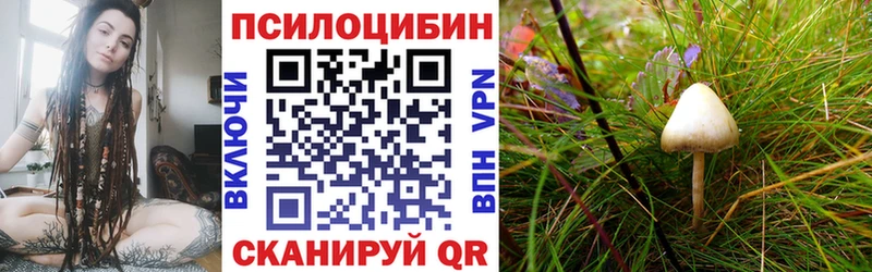 Галлюциногенные грибы MAGIC MUSHROOMS Приозерск