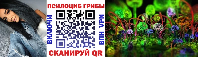 купить   Приозерск  Псилоцибиновые грибы MAGIC MUSHROOMS 