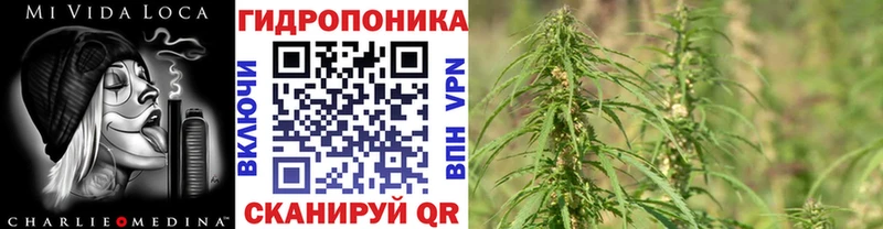 Марихуана марихуана Приозерск
